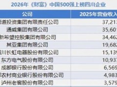 9家川企上榜“中国500强” 竞争力显著提升