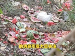 价格压到1毛多？爱心西瓜不容流量收割 瓜农血汗不应被消费