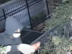 八旬独居老太阳台被人摆放羊头 神秘人操作全程被拍