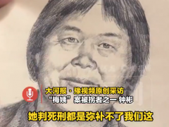 梅姨伪装媒婆长期潜伏乡村 {村里人}还因找她说媒被她骗过