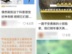 以为北京雨燕往南飞 结果是飞南非 万里迁徙震撼人心
