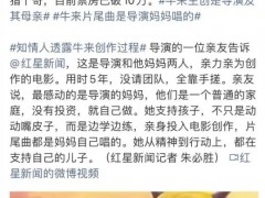 60后妈妈与儿子纯手搓5年做出《牛来》，引起网友热议！