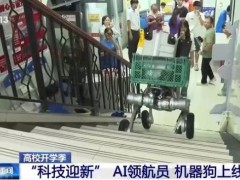 解锁高校迎新的多种打开方式，迎新天花板？
