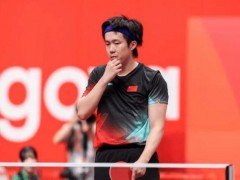 张本智和说超越中国队这一刻等了10年 国乒爆冷失利引发热议